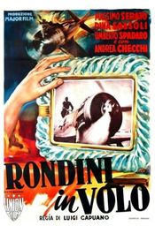 Poster Rondini in volo