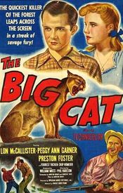 Poster The Big Cat