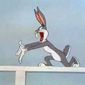 The Grey Hounded Hare/The Grey Hounded Hare