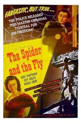 The Spider and the Fly poster