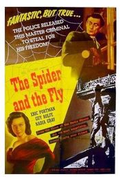 Poster The Spider and the Fly