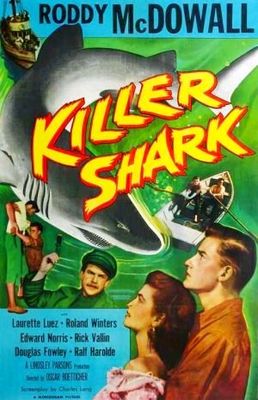 Killer Shark poster