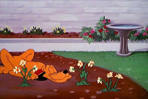 Pluto and the Gopher
