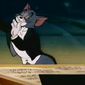 Tom and Jerry in the Hollywood Bowl/Tom and Jerry in the Hollywood Bowl