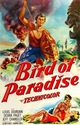 Film - Bird of Paradise
