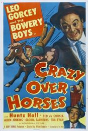 Poster Crazy Over Horses