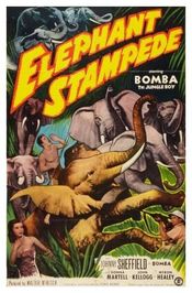 Poster Elephant Stampede