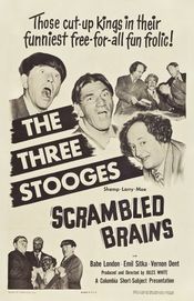 Poster Scrambled Brains