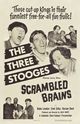 Film - Scrambled Brains
