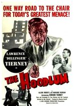 The Hoodlum