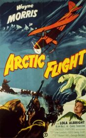 Poster Arctic Flight