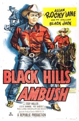 Black Hills Ambush poster