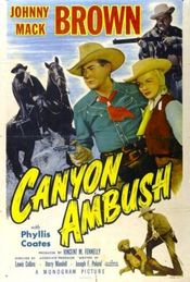 Poster Canyon Ambush