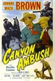 Film - Canyon Ambush