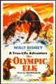 Film - The Olympic Elk