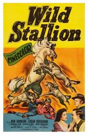 Poster Wild Stallion