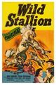 Film - Wild Stallion