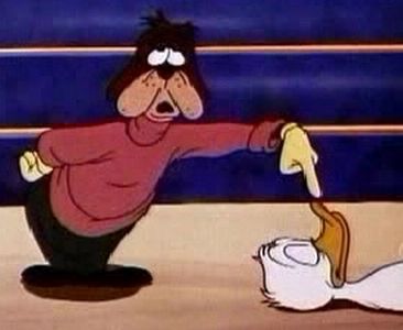 Canvas Back Duck