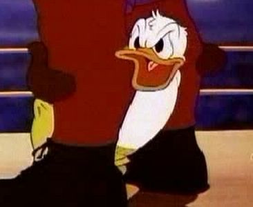 Canvas Back Duck