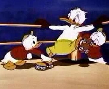 Canvas Back Duck