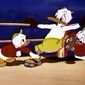 Canvas Back Duck/Canvas Back Duck