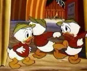 Canvas Back Duck