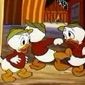 Foto 18 Canvas Back Duck