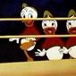 Canvas Back Duck/Canvas Back Duck