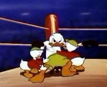 Canvas Back Duck