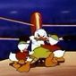 Foto 14 Canvas Back Duck