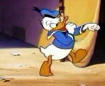 Canvas Back Duck