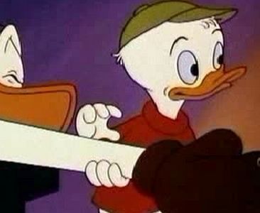 Canvas Back Duck