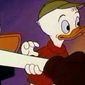 Foto 16 Canvas Back Duck