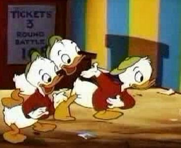 Canvas Back Duck