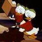 Canvas Back Duck/Canvas Back Duck