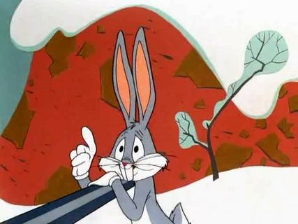 Duck! Rabbit, Duck!
