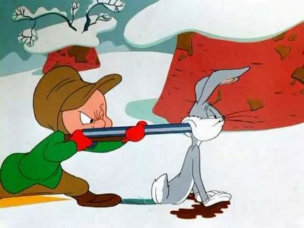 Duck! Rabbit, Duck!