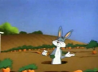 Robot Rabbit