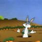 Foto 23 Robot Rabbit