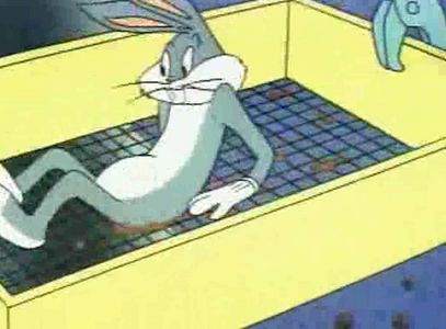 Robot Rabbit