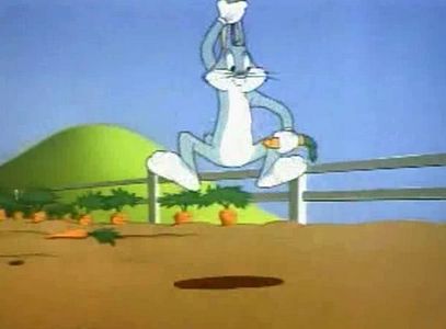 Robot Rabbit