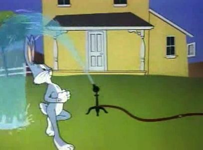 Robot Rabbit