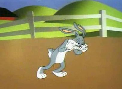 Robot Rabbit