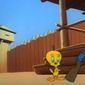 Foto 7 Tom Tom Tomcat