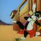 Foto 10 Tom Tom Tomcat