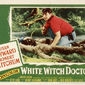 Poster 10 White Witch Doctor