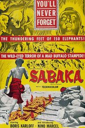 Poster Sabaka