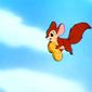 The Flying Squirrel/The Flying Squirrel