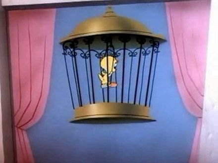 Tree Cornered Tweety