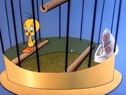 Tree Cornered Tweety